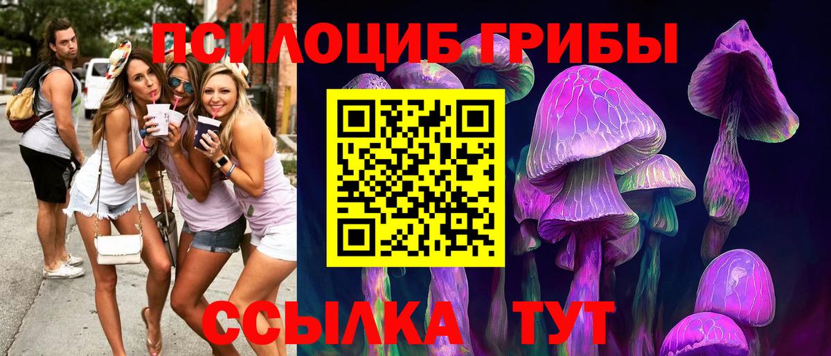 Всеволожск  Галлюциногенные грибы MAGIC MUSHROOMS  Псилоцибиновые грибы MAGIC MUSHROOMS  закладки  Вход с VPN 